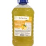Средство для мытья посуды "Сидель Профи-Лимон"  (5 литров)